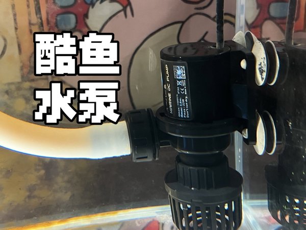 139元的酷鱼变频水泵使用下来如何？