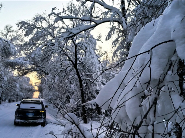东北孩儿，身边的童话世界