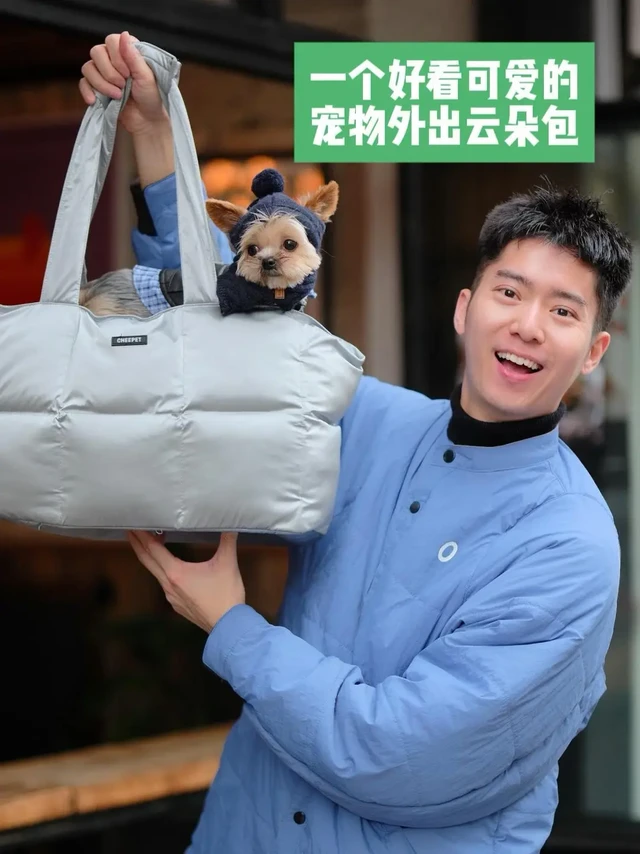 一个好看百搭的宠物外出车载云朵包