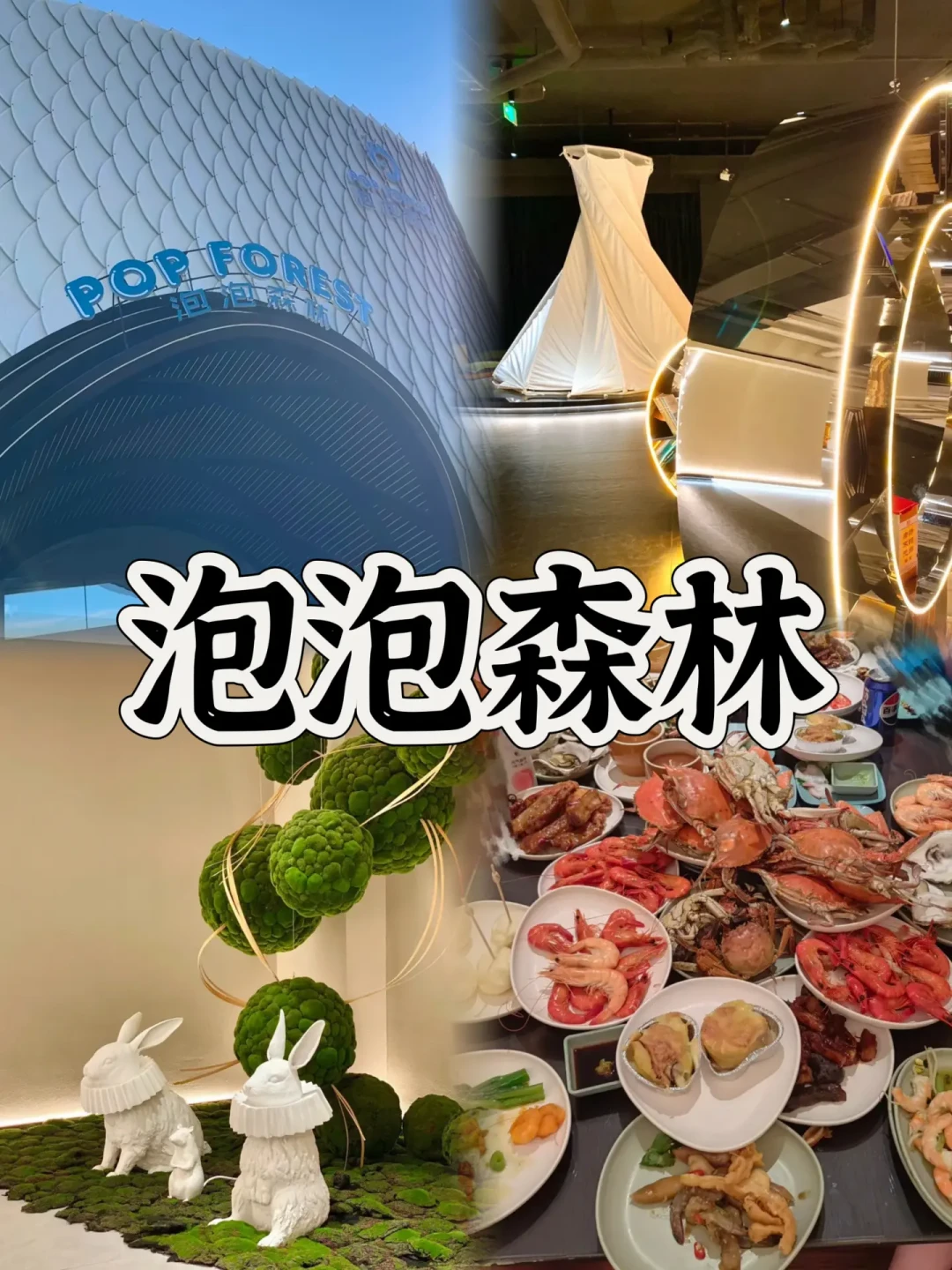 揭秘沈阳：五大顶级网红浴场体验，享受极致洗浴乐趣