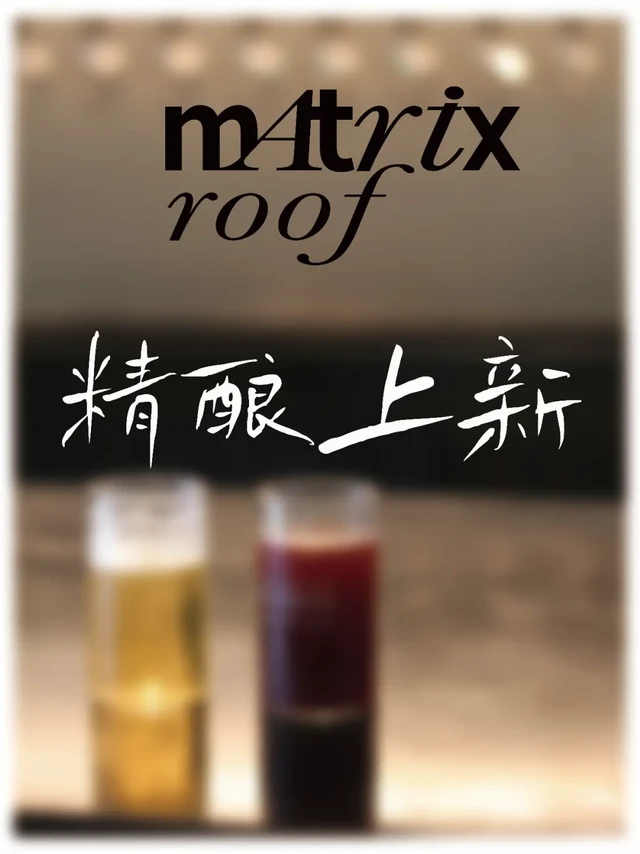 屋頂精釀｜今日上新，12款各具特色之选