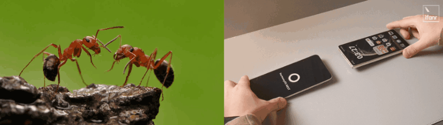 全方位对比华为Mate 70系列与Mate X6：哪款手机值得入手？