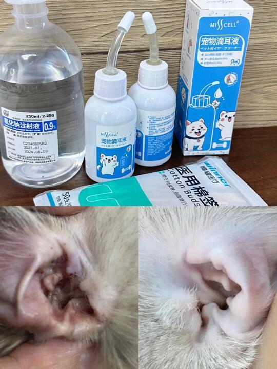 老天鹅啊！这就是频繁用猫咪滴耳液的代价…