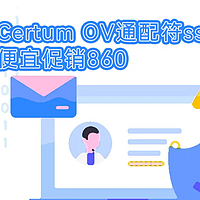 OV企业通配符ssl证书仅860元