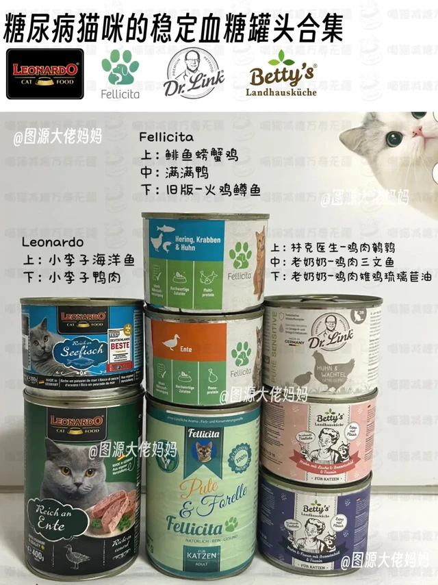 糖猫优秀控糖罐头合集