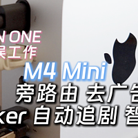 Mac mini M4当NAS体验如何，OPENWRT旁路由Docker工作娱乐于一体