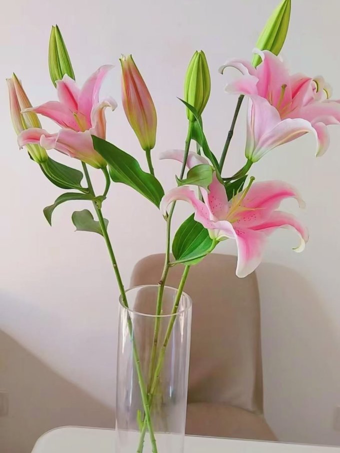 花点时间鲜花
