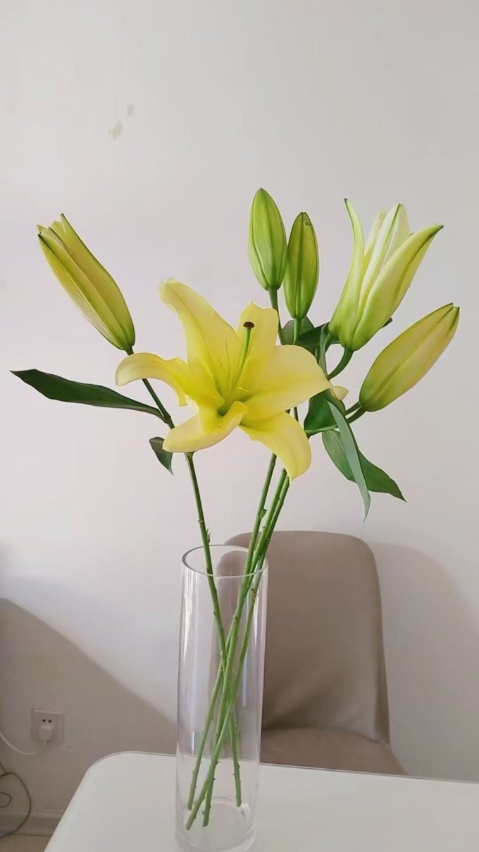 花点时间鲜花
