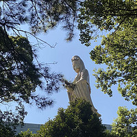 普陀山一日游——洗涤心灵之旅