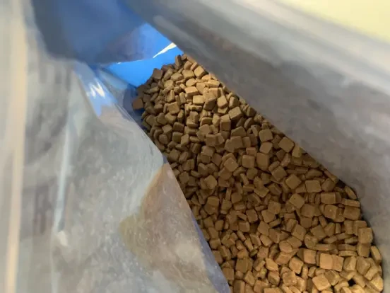 宠物医学生说说为什么买海洋之星