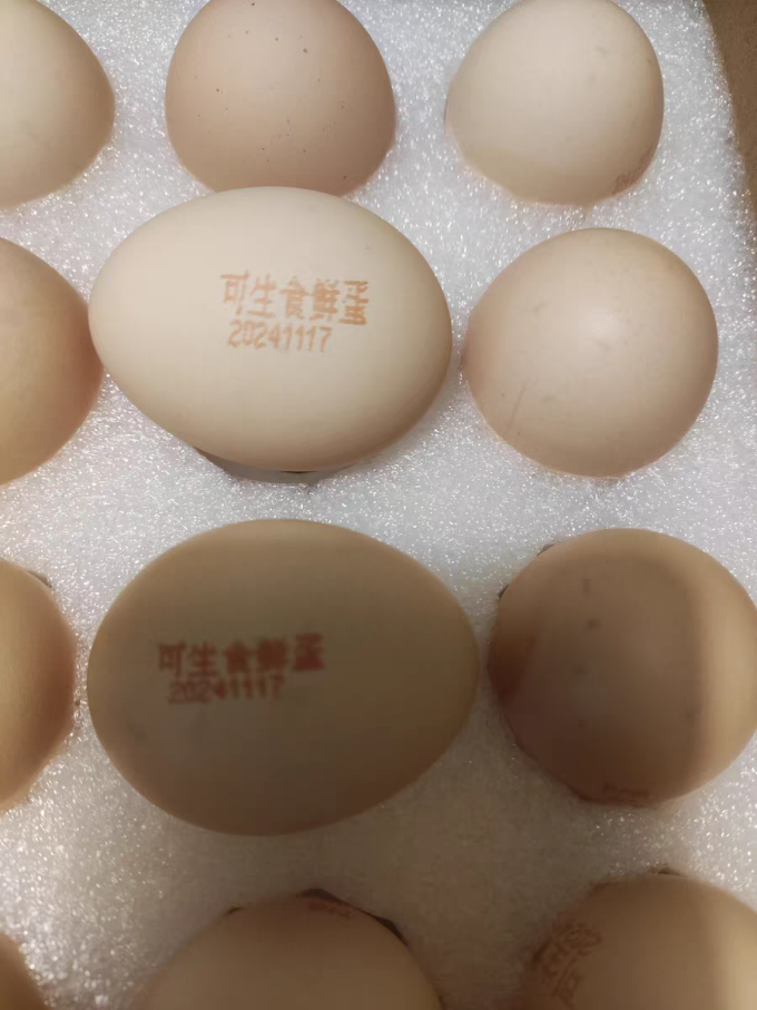 牧族蛋类