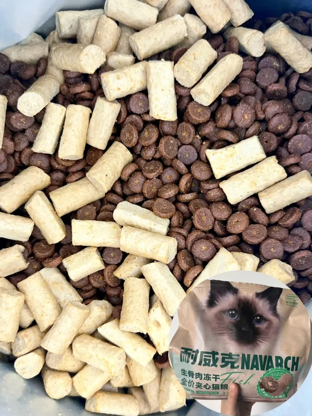 猫咪掉毛严重？选对猫粮不焦虑！