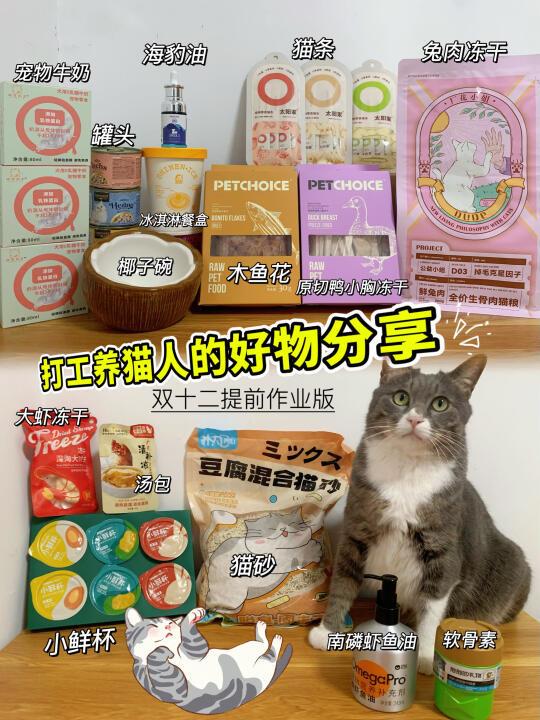 打工养猫人的好物分享‖双十二提前作业版