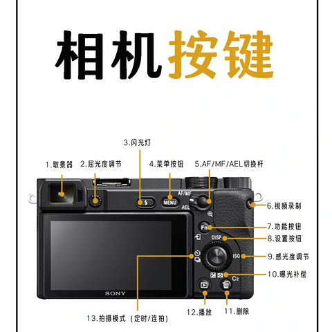 初学者必看！全面掌握摄影技巧与相机使用攻略