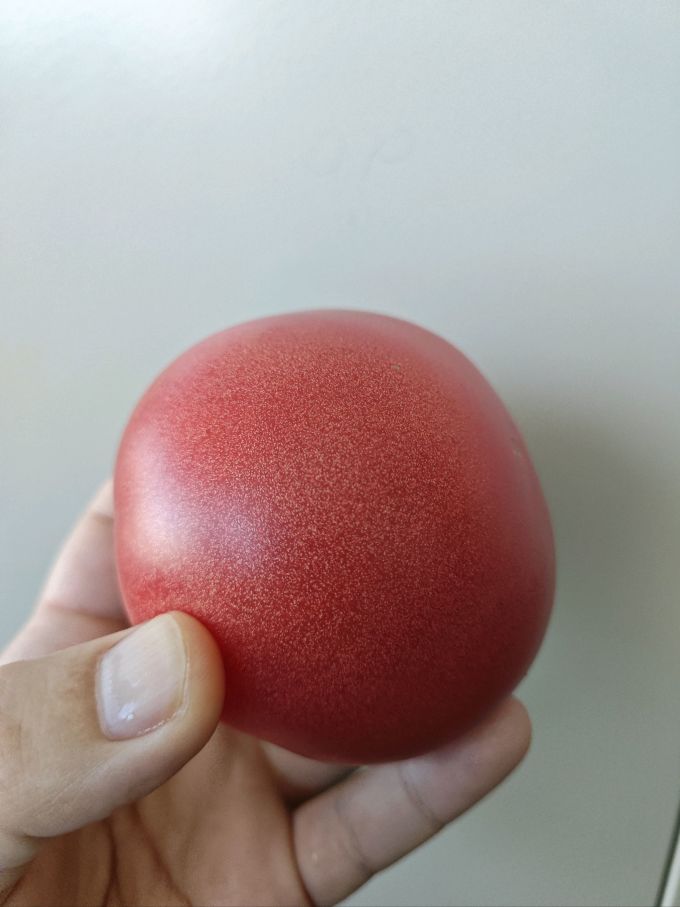 蔬菜