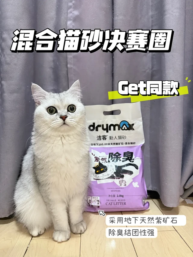 懒人别错过！赶紧试试这款猫砂