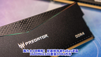 海力士CJR颗粒！宏碁掠夺者Pallas凌霜3600MHz32G套装DDR4内存！