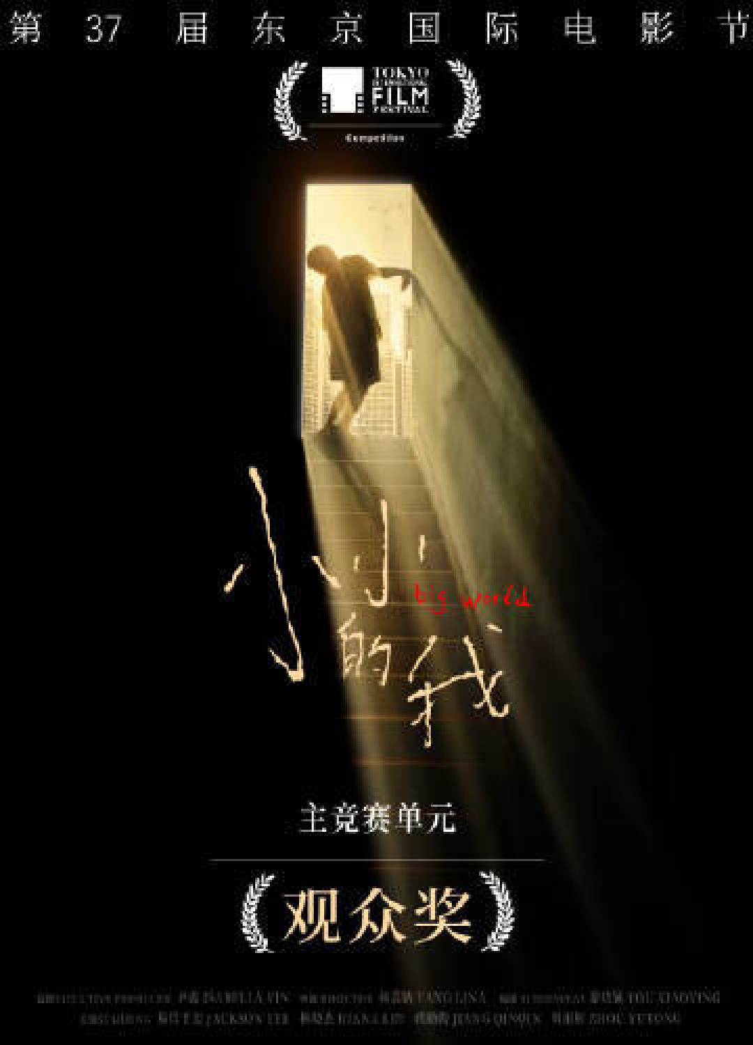 观众选择奖重启：共鸣与思考之下，哪部影片最动人心弦？