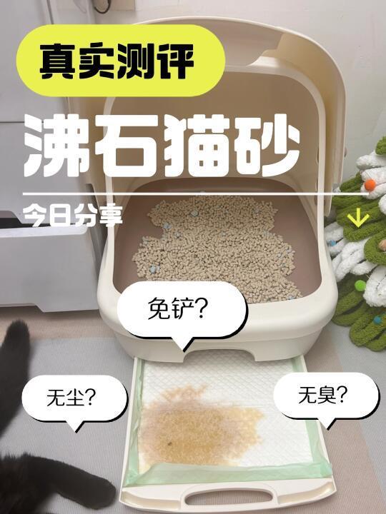 不想铲猫砂的懒人都给我去用沸石猫砂！