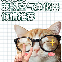 猫咪掉毛有救啦！吸毛好的宠物空气净化器！