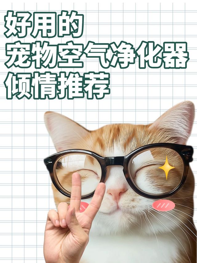 猫咪掉毛有救啦！吸毛好的宠物空气净化器！