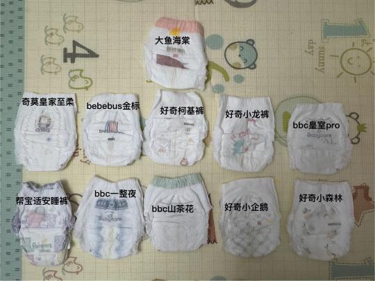 XL纸尿裤大小比较