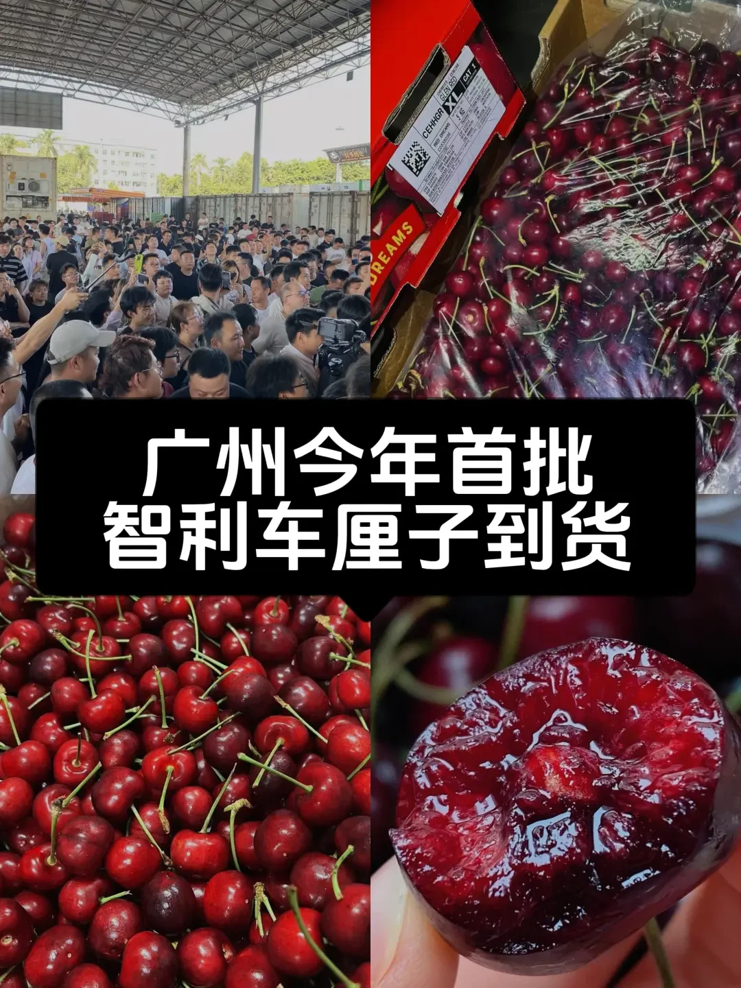 智利车厘子首批抵达广州,吃货们的冬季甜蜜时光开启