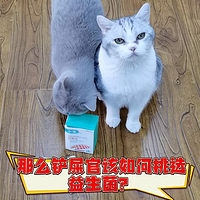 猫咪肠胃敏感？赶紧拿出来囤的益生菌！