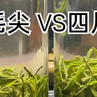 曾经的十大名茶，如今大家谈毛色变...信阳毛尖被抛弃的原因？