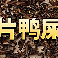 “醇不过春茶，香不过雪片”，新希雪片鸭屎香凤凰单丛测