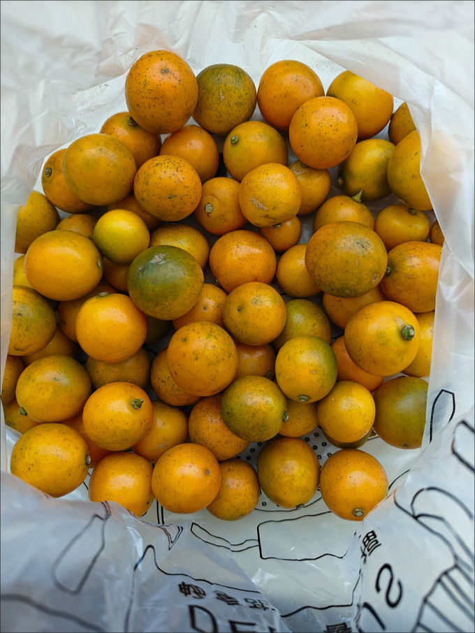 味小仙新鲜水果