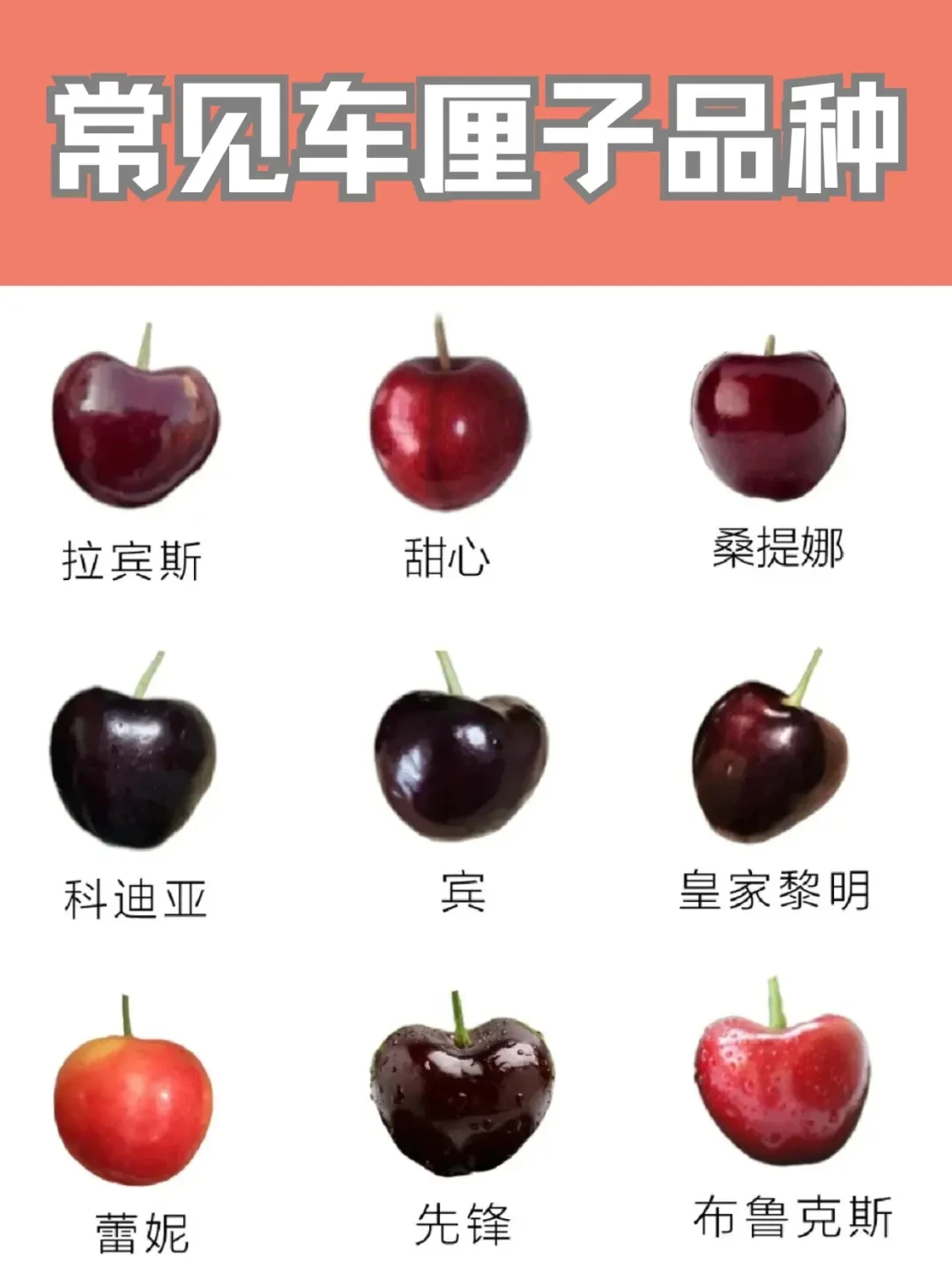 智利车厘子首批抵达广州,吃货们的冬季甜蜜时光开启