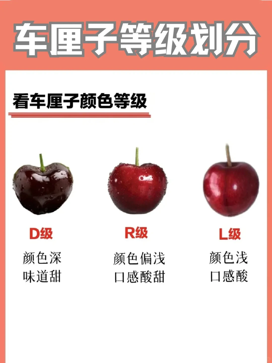 智利车厘子首批抵达广州,吃货们的冬季甜蜜时光开启