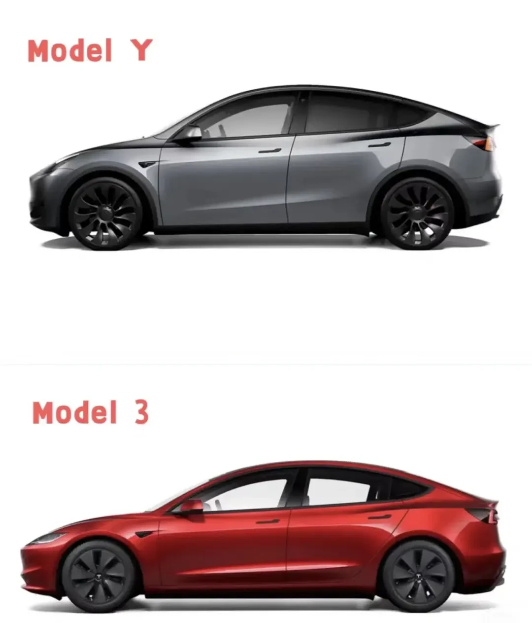 特斯拉Model 3 vs Model Y：已婚和单身人士的最佳选择指南