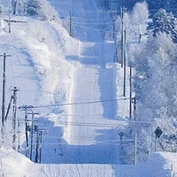 冬日北海道：雪国的梦幻之旅