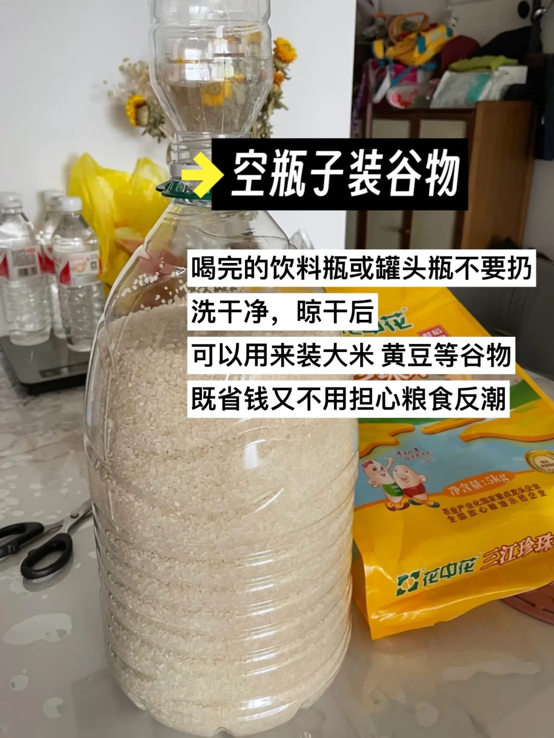 极简租房生活：经济环保实践指南