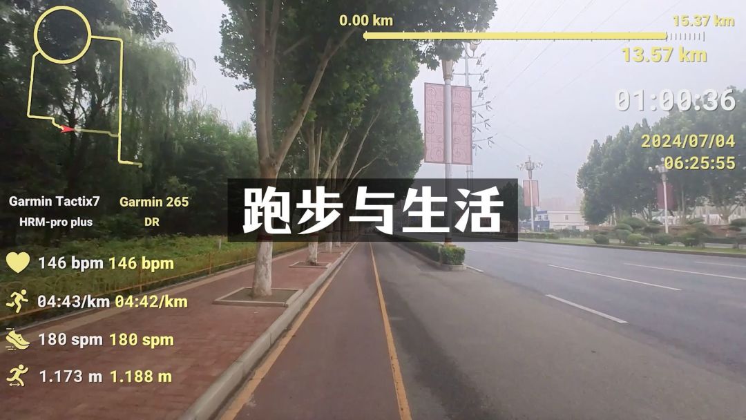 长跑中的平衡与平静:快节奏生活的解药与智慧选择