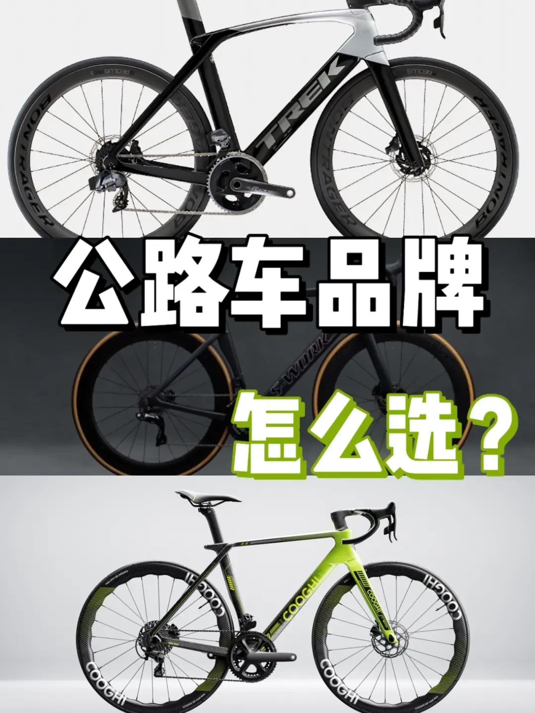 骑行选车必读：从入门到高端的热门自行车品牌优劣详解