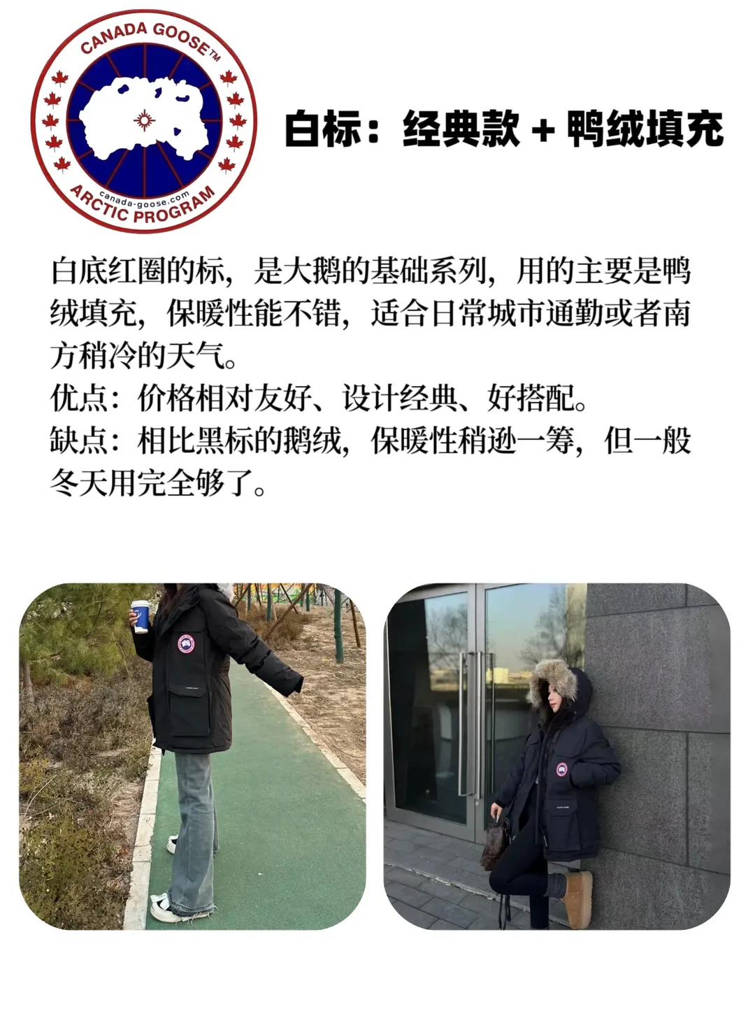 大鹅羽绒服黑标 vs 白标：详尽选购指南与个人体验