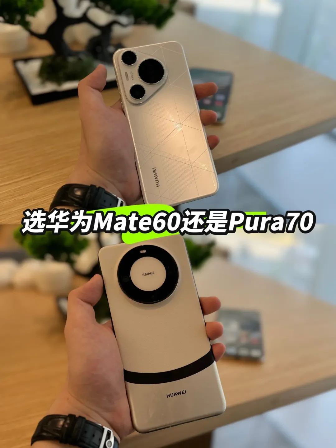 Mate60 vs. Mate70：从外观到性能，全面对比助你做出最佳选择