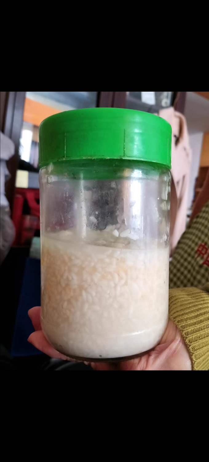 安琪发酵菌