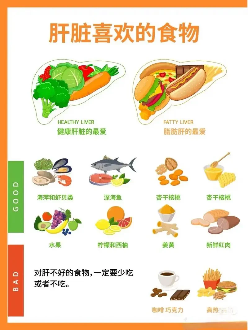 健康饮食作息全攻略：全面养护肝脏 提升整体健康