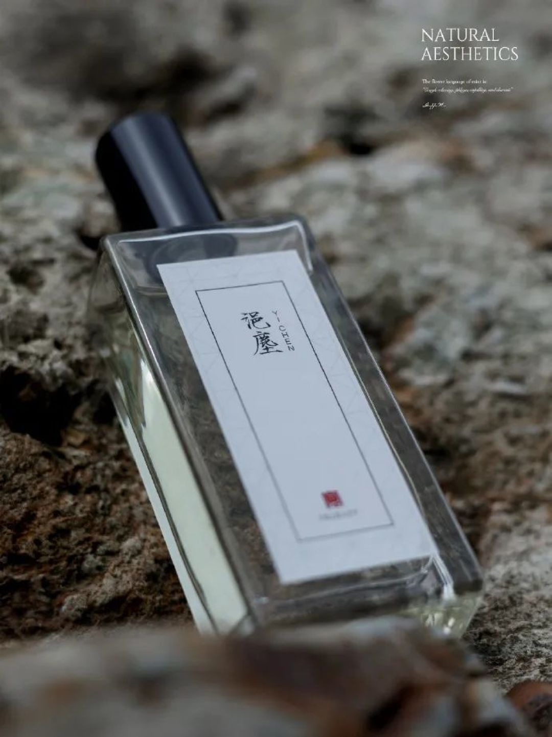 寻香 | 春日限定穿香指南