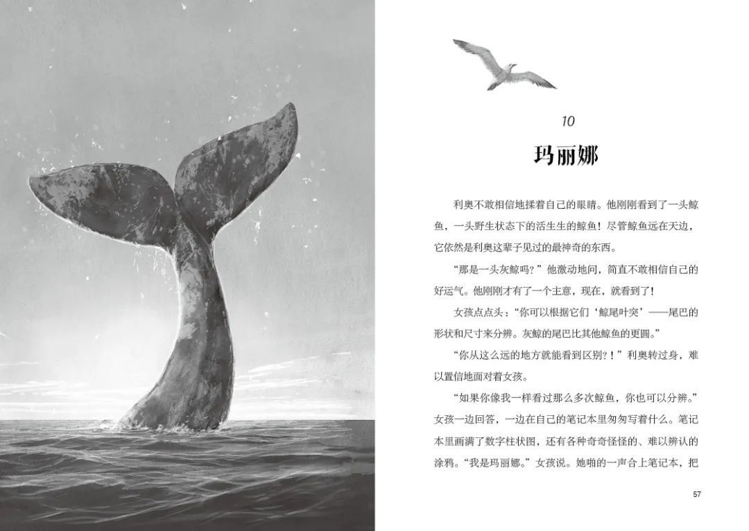 众多凯迪克奖、《纽约时报》得主出新作!