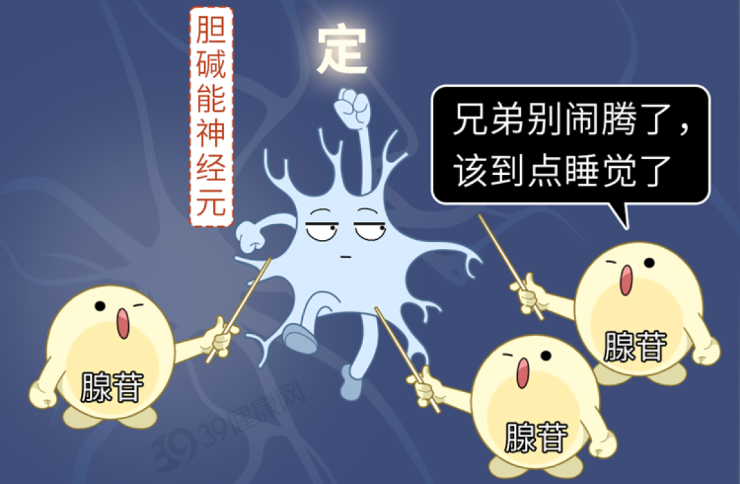 一秒入睡和总睡不着,哪个危害更大?警惕这3种情况,很危险