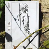 《武士会》：传统武术与民族精神的传奇画卷