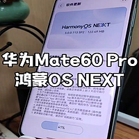 华为Mate60Pro升级鸿蒙OS NEXT系统重要补丁