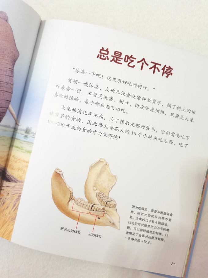 世界图书出版社绘本/图画书