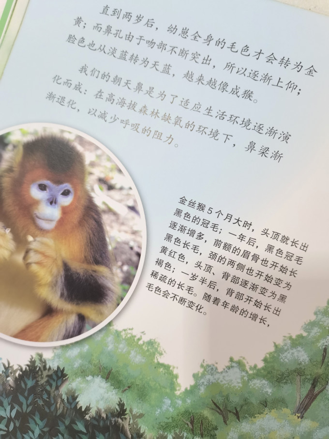 世界图书出版社绘本/图画书