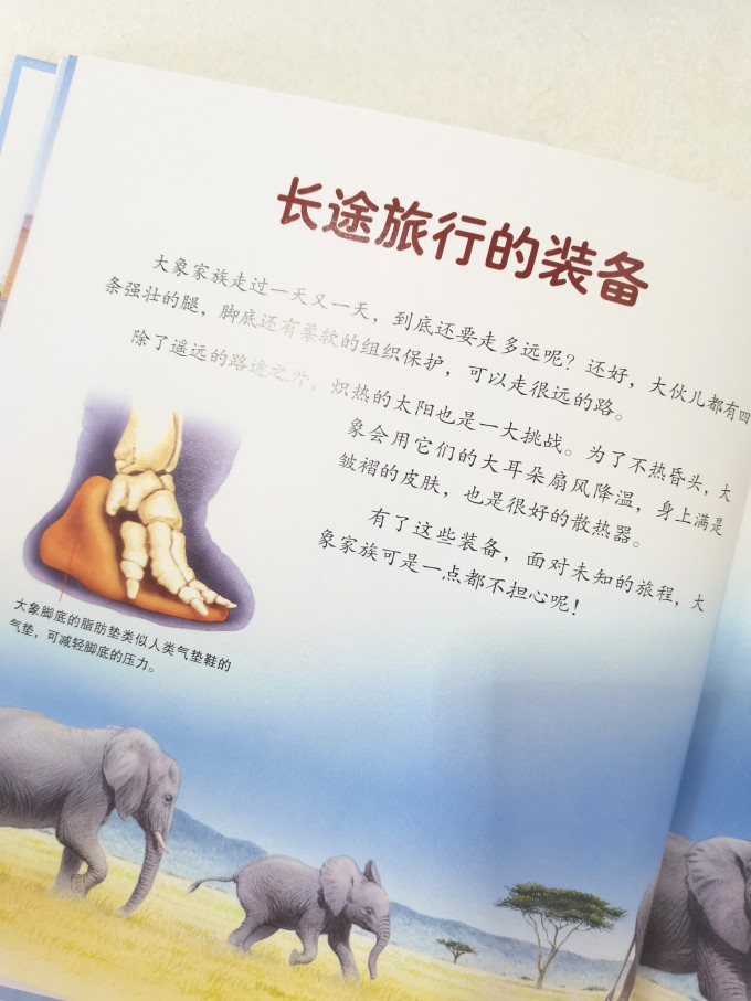 世界图书出版社绘本/图画书